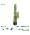 GloboStar® Artificial Garden TRICHOCEREEAE CACTUS 20131 Τεχνητό Διακοσμητικό Φυτό Κλειστόκακτος Υ100cm